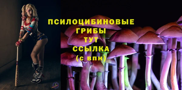 каннабис Баксан